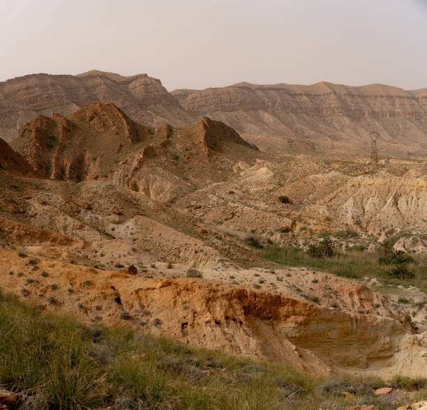 istock Bou-Hedma National Park, Tunisia 1254869792