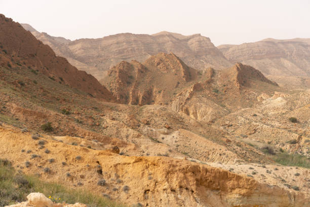 istock Bou-Hedma National Park, Tunisia 1254870819