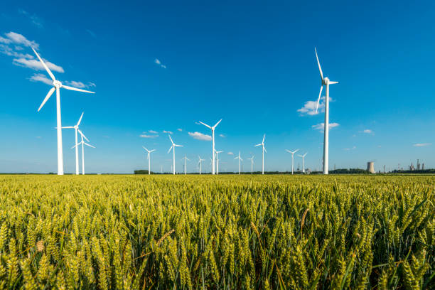 wind turbines in a grain field - kyoto accord fotos imagens e fotografias de stock