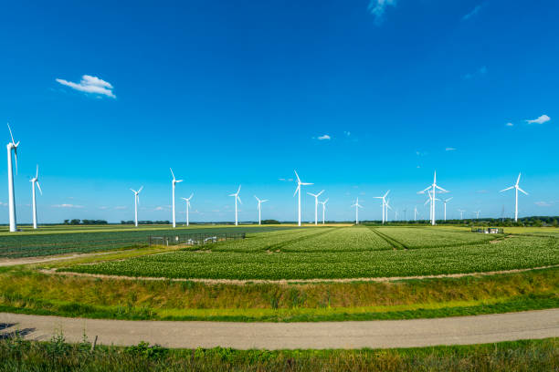 istock Wind turbines, renewable energy on a green field, spring day. Wind farm 1254871740