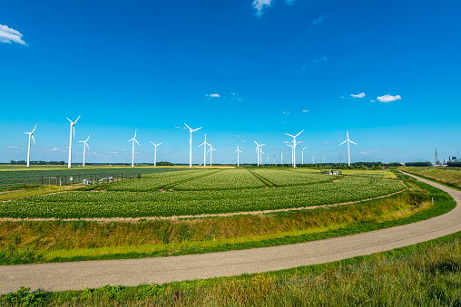 Wind turbines, renewable energy on a green field, spring day. Wind farm in the Netherlands.