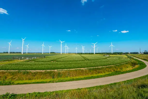 Photo of Wind turbines, renewable energy on a green field, spring day. Wind farm