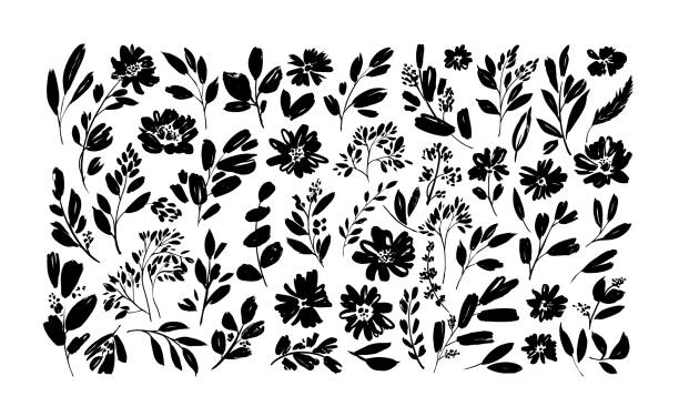 ilustraciones, imágenes clip art, dibujos animados e iconos de stock de conjunto vectorial dibujado a mano de flores de primavera. siluetas de flores de pincel negro. tinta dibujando plantas silvestres, hierbas o flores - flor