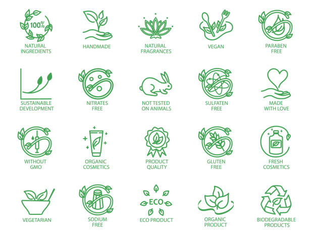 illustrazioni stock, clip art, cartoni animati e icone di tendenza di set di icone o badge lineari per prodotti eco-compatibili - cucina vegetariana immagine