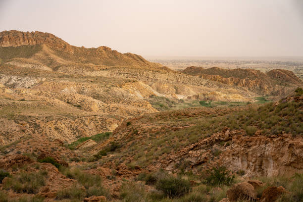 istock Bou-Hedma National Park, Tunisia 1254876487