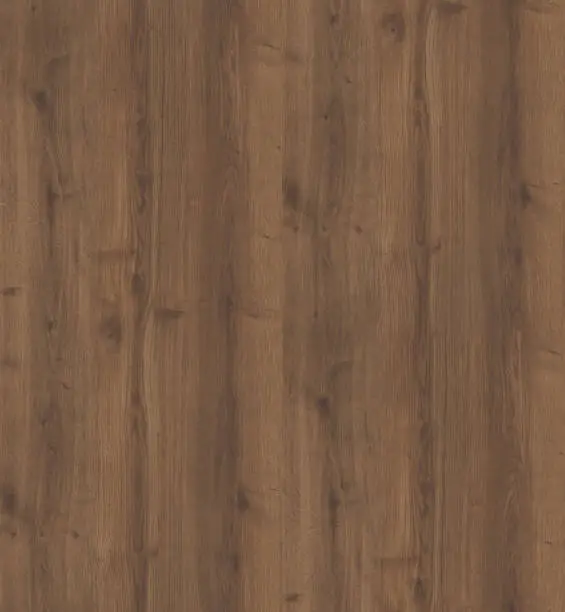 Seamless walnut texture