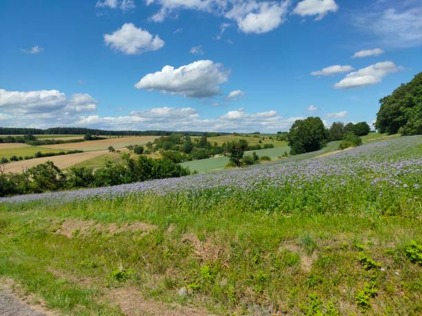 istock Landscape at a sunny day in Bavaria 1254879648