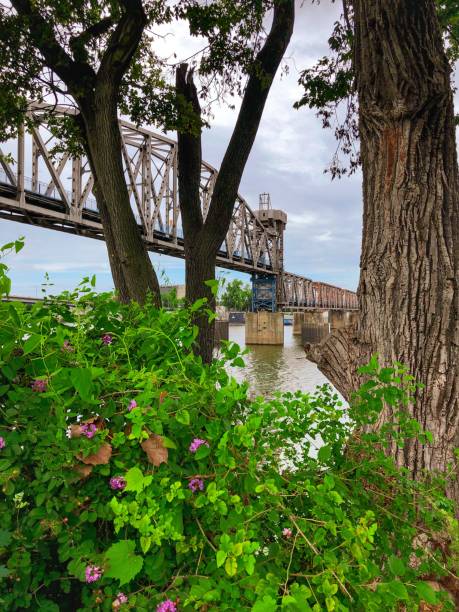 istock Junction Bridge Over the Arkansas River 1254887765