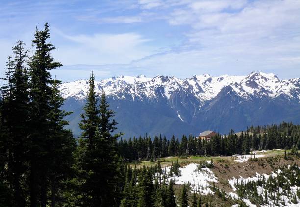 istock The Bailey Ridge Of Mountains 1254888841