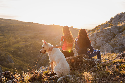 Two females sitting on the rock with their white dog. They are watching sunset in the mountains.