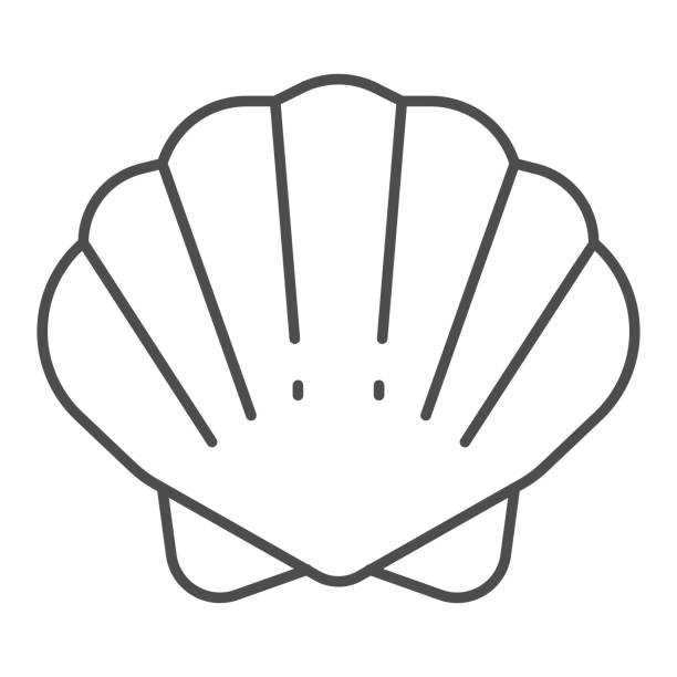 쉘 씬 라인 아이콘, 바다 개념, 흰색 배경에 조개 껍질 기호, 모바일 개념 및 웹 디자인을위한 윤곽 스타일 조개 아이콘. 벡터 그래픽. - shell stock illustrations