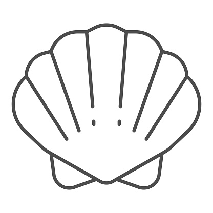 Shell thin line icon, ocean concept, shellfish shell sign on white background, seashell icon in outline style for mobile concept and web design. Vector graphics