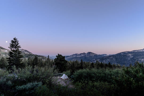 시라의 선셋 캠핑, 캘리포니아 - stanislaus national forest 뉴스 사진 이미지