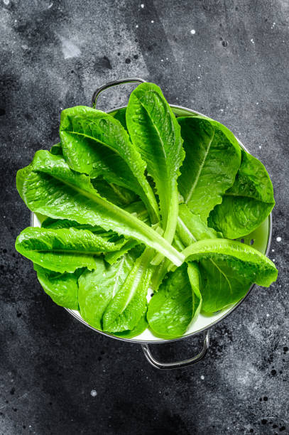 istock Romaine lettuce salad in a colander. Black background. Top view 1254894431