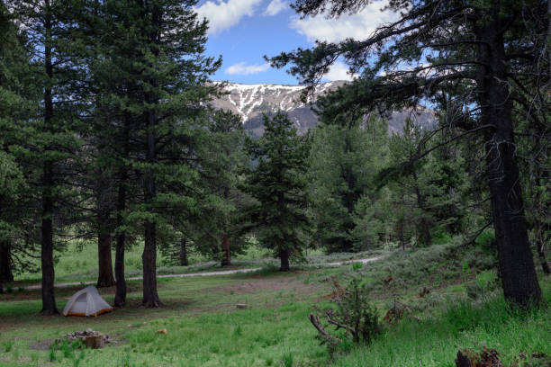 ザ・シエラ(カリフォルニア州)でのキャンプ - stanislaus national forest ストックフォトと画像