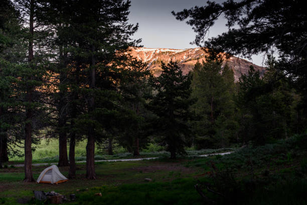 istock Sunset Camping in The Sierra, California 1254894488