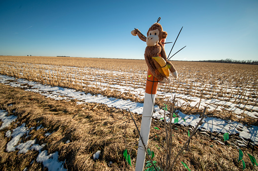 A scarecrow stands in the field with a pumpkin on top, surrounded by plants, trees, twigs, birds, and other elements of the landscape