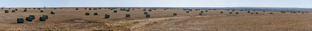 The oil pump in the middle of the harvested fields with piles of hay in Nebraska, USA.