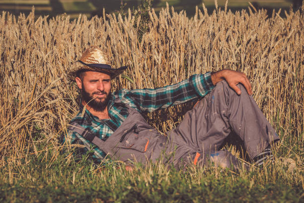 istock Young farmer in wheat field 1254900054