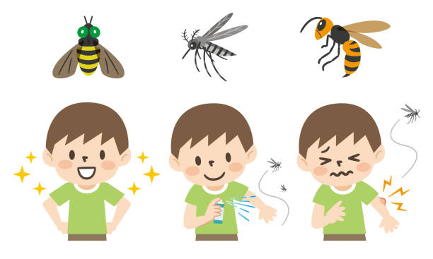 ilustrações de stock, clip art, desenhos animados e ícones de illustration set of insect bites and preventive measures - horse fly