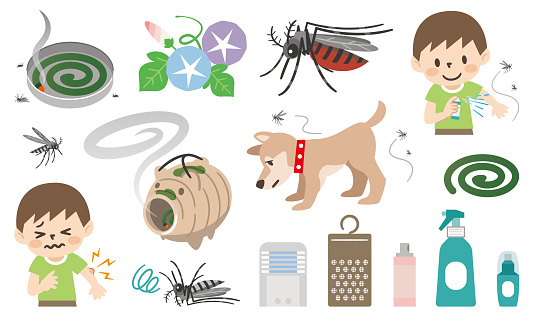 Set of illustrations of preventive measures against insect bites