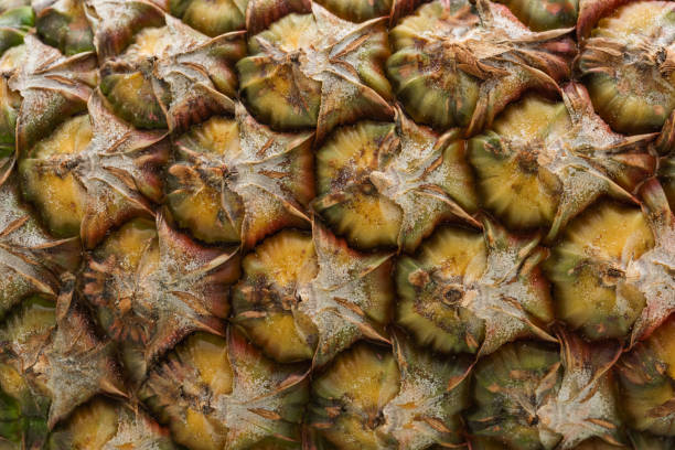 istock top view on pineapple texture, macro photo of pineapple 1254901122
