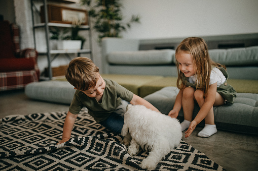 Kids playing with dog on the floor