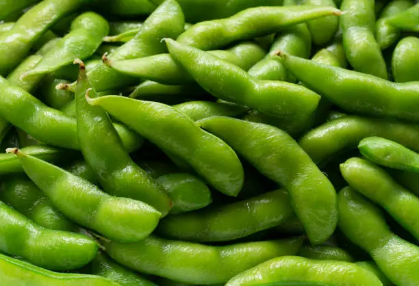 Close-up photo of Japanese edamame across the screen