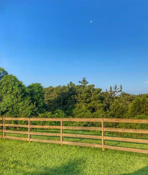istock Moon Over Rural Arkansas 1254912857