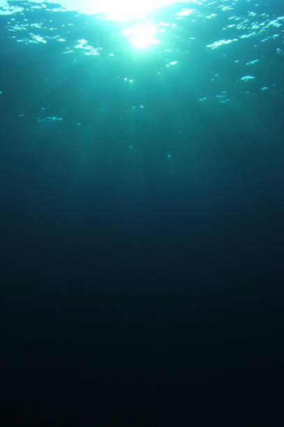 istock Underwater background in ocean 1254917296