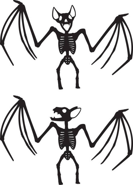 ilustraciones, imágenes clip art, dibujos animados e iconos de stock de bat skeleton silhouettes - bat halloween silhouette wing