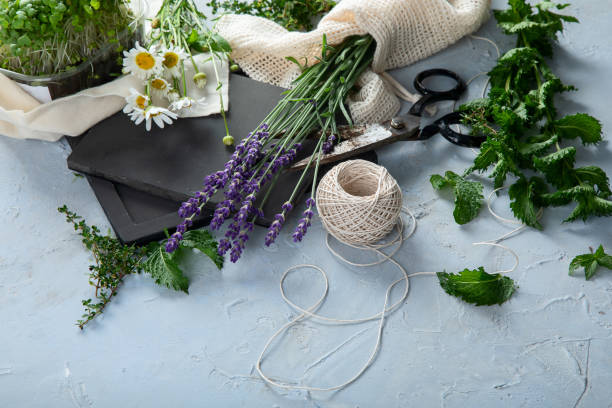 istock Fresh green garden herbs 1254922570