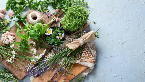 新鮮な緑の庭のハーブ - 薬草 ストック�フォトと画像