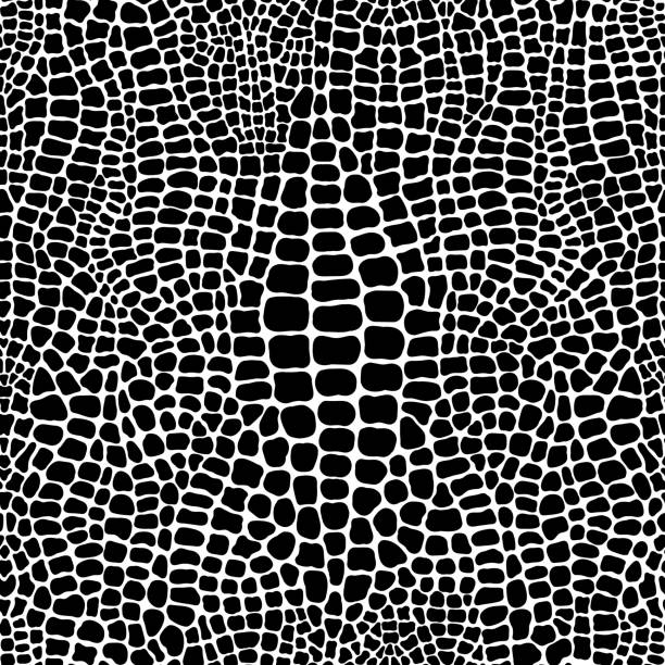 악어 또는 악어 스킨 프린트가 있는 매끄러운 패턴. 발견 된 검은 색과 흰색 반복 벽지. 동물성 벡터 일러스트레이션. - 비단뱀 stock illustrations