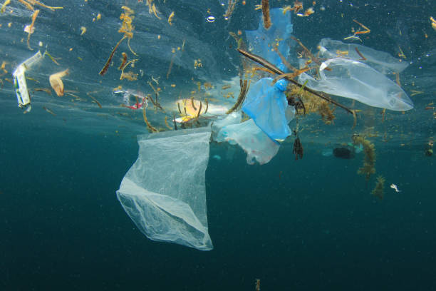 Plastic pollution in ocean - fotografia de stock