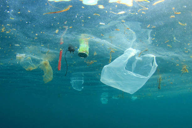 Plastic pollution in ocean stock photo