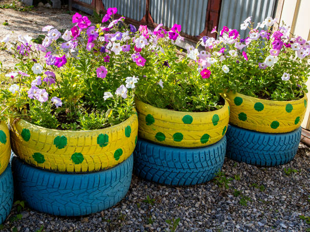 istock small flower bed in an old car tire 1254930727
