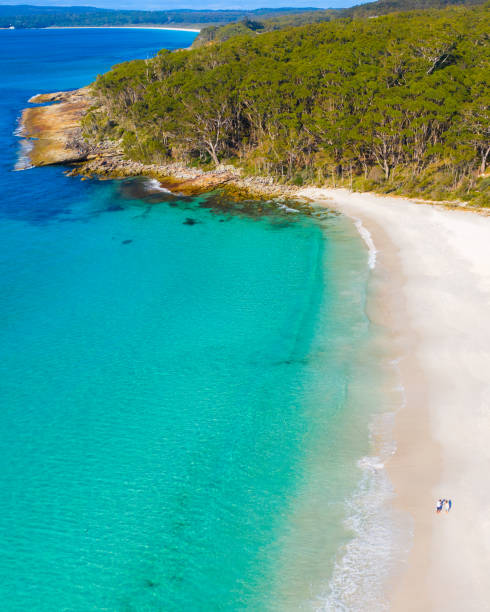 istock Aerial drone view of a white sandy beach surrounded with trees and turquoise waters 1254934477