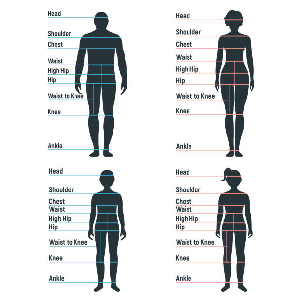 60+ Standing Knee Raise Illustrations, Royalty-Free Vector Graphics ...