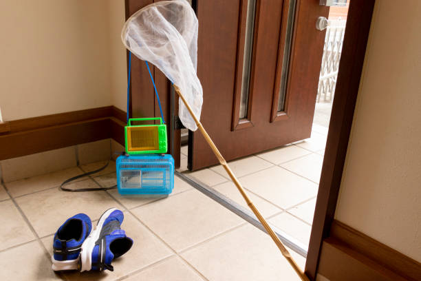 istock Tools for insect catching and shoes 1254940682