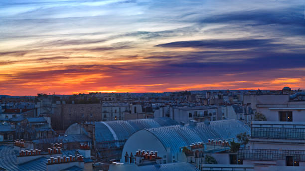 huge panorama of paris with roofs at sunset - museum monument silhouette tree imagens e fotografias de stock