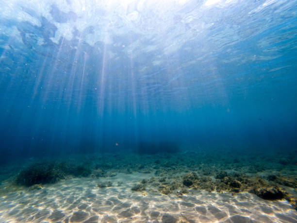 istock Sunbeam, under the sea 1254942875