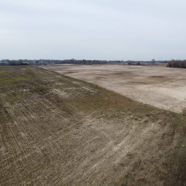 istock Agricultural land, aerial view. Landscape. Arable fields in the spring. 1254944886