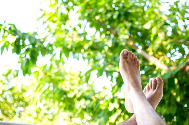 istock Relaxing in the garden 1254946328