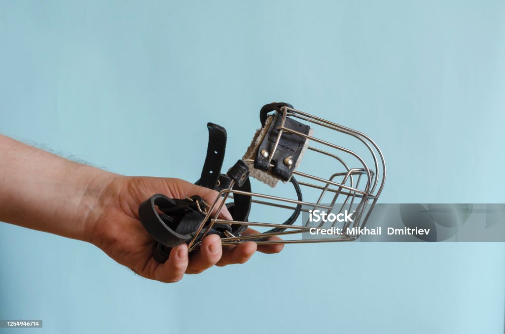 Metal muzzle with leather straps for a dog in a male hand. Metal muzzle with leather straps for a dog in a male hand. The hand holds an accessory for service and potentially dangerous breeds of dogs. Rules for keeping and walking dogs in the city. Restraint Muzzle Stock Photo