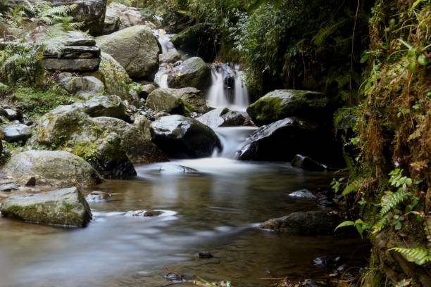 спокойствие - moss stream rock water стоковые фото и изображения