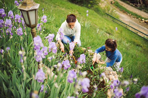 Mother and son plant flowers in the garden together in the spring dayuse