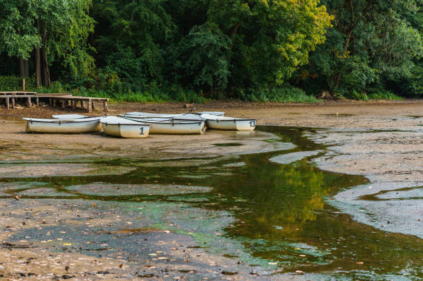 Rowing boats in a dry pond. Abandoned, empty pier. Rowing pleasure boats in a dry pond. Abandoned, empty pier in a deserted park. lake grunge stock pictures, royalty-free photos & images