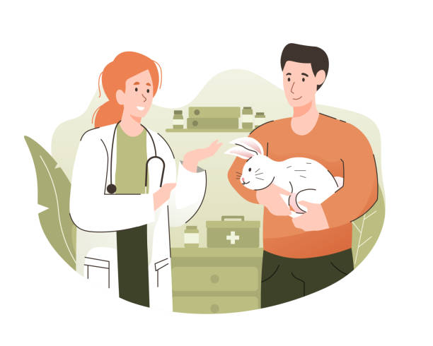 bildbanksillustrationer, clip art samt tecknat material och ikoner med mannen och hans kanin diskuterar med en veterinär på veterin�ärkliniken. pet sjukvård och medicinskt koncept - veterinär, undersökning