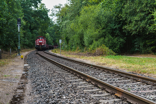 A freight train with wagons is approaching along a single track running through a forest.